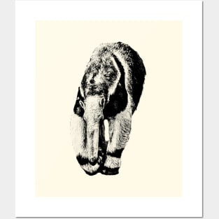 Giant anteater Posters and Art